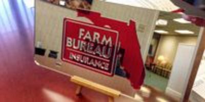 Farm Bureau Insurance Sample Custom Mirrored License Plate