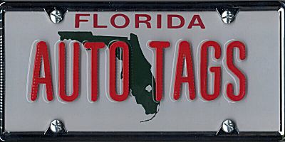 Sample Custom Florida License Plate